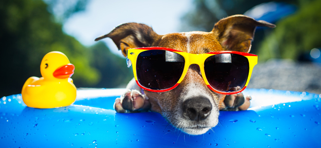 Kleiden Sie Ihr Unternehmen neu ein!