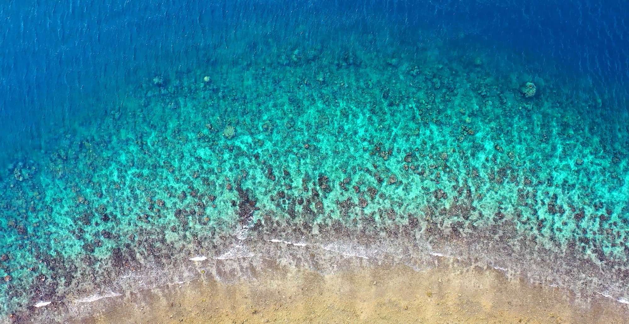 Webseiten und Webdesign, Grafikdesign, Online-Shops und Online Marketing alles aus einer Hand! Ihr Meer der Möglichkeiten.