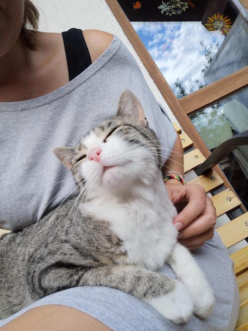 IMG 20220713 192416 (1)